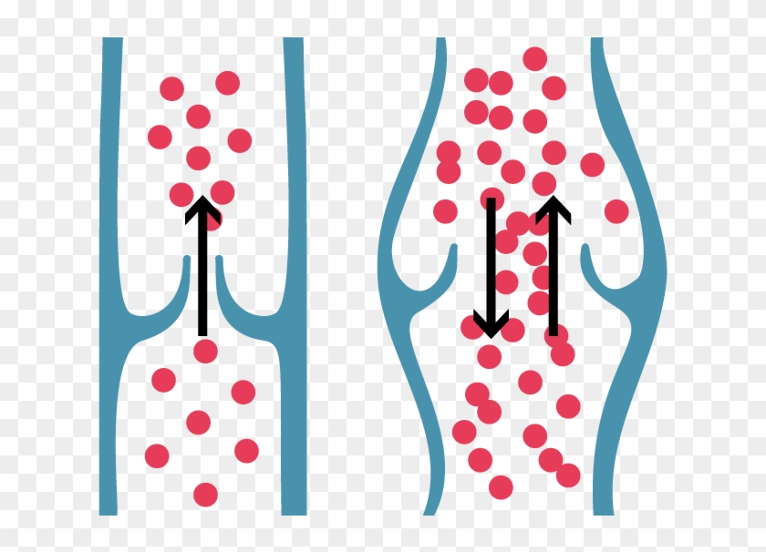 Healthy Vein Valve & Correct Blood Flow Shown On The - Valves Veins Png #1348781