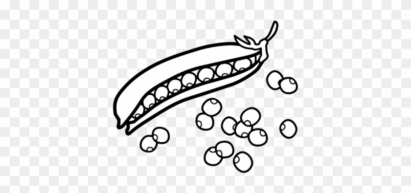 Pea Drawing Computer Icons Vegetable - Peas Black And White Clip Art #1348808