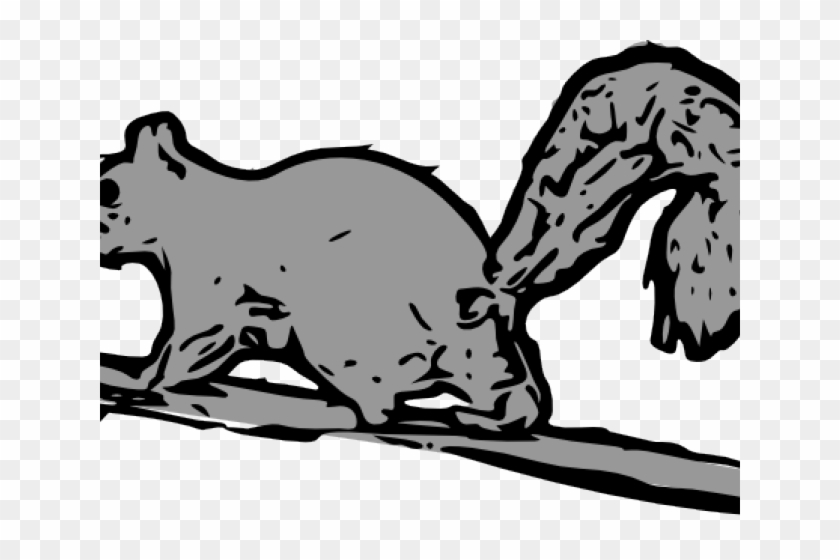 Gray Squirrel Clipart Squirrell - Squirrel #1349125