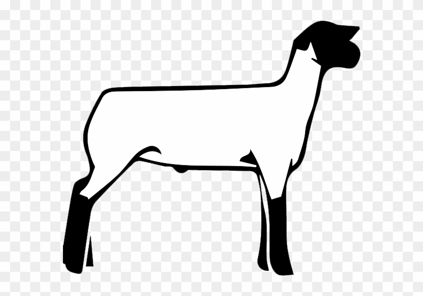 Free Show Lamb Clip Art - Show Lamb Clipart Black And White #1349212