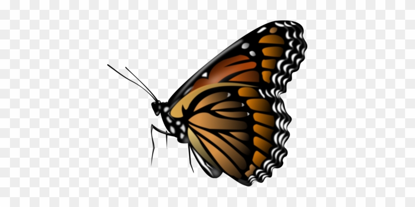 Monarch Butterfly Insect Computer Icons Brush-footed - Butterfly Png #1349336