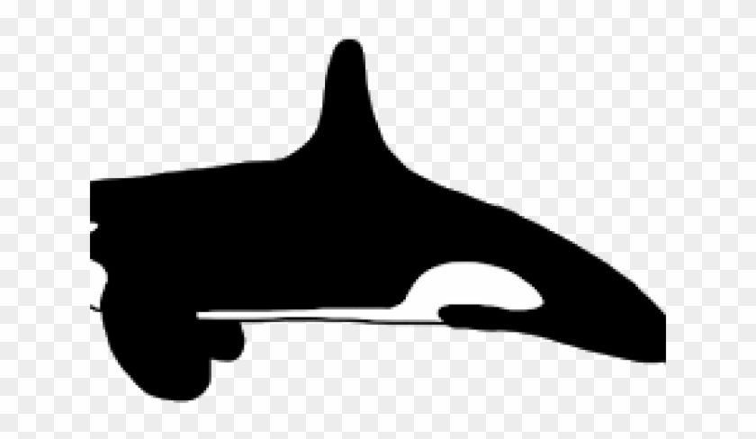 Killer Whale Clipart Orca - Killer Whale #1349357