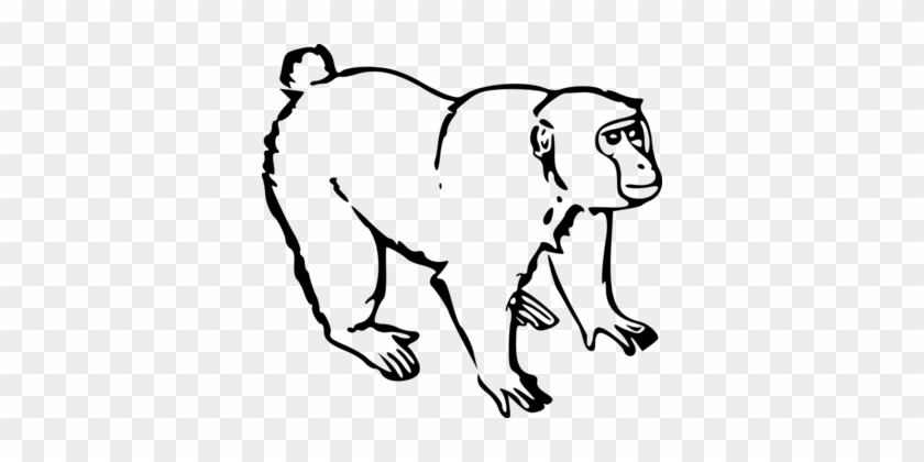 Ape Monkey Drawing Black And White - Monkey Black And White #1349456