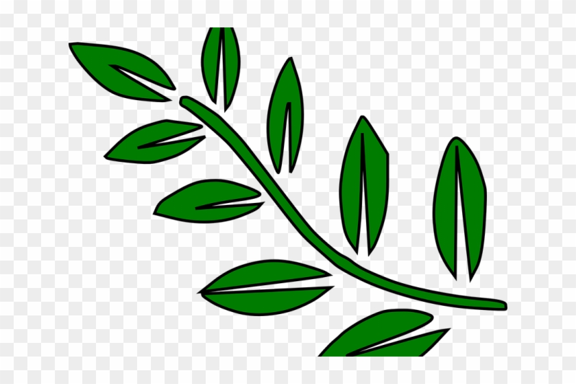 Fern Clipart Olive - Leaves In Stem Clip Art #1349491