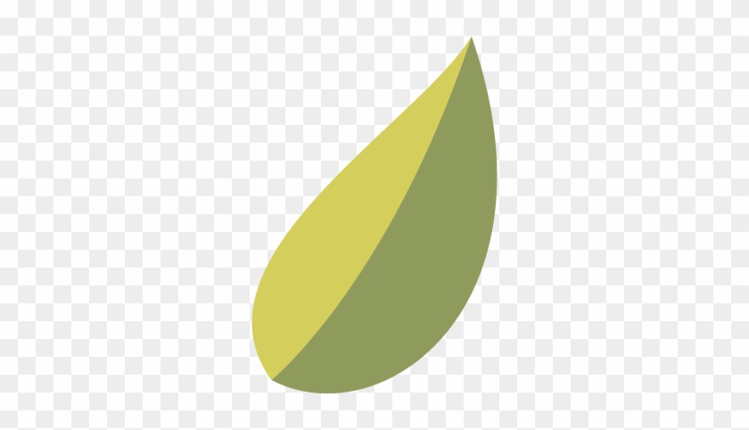 Detail Of The Signal Referring To An Olive Leaf - Graphic Design #1349498