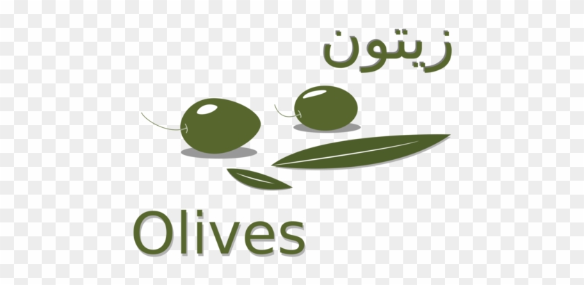Olive Leaf Logo Computer Icons Download - Olive زيتون #1349513
