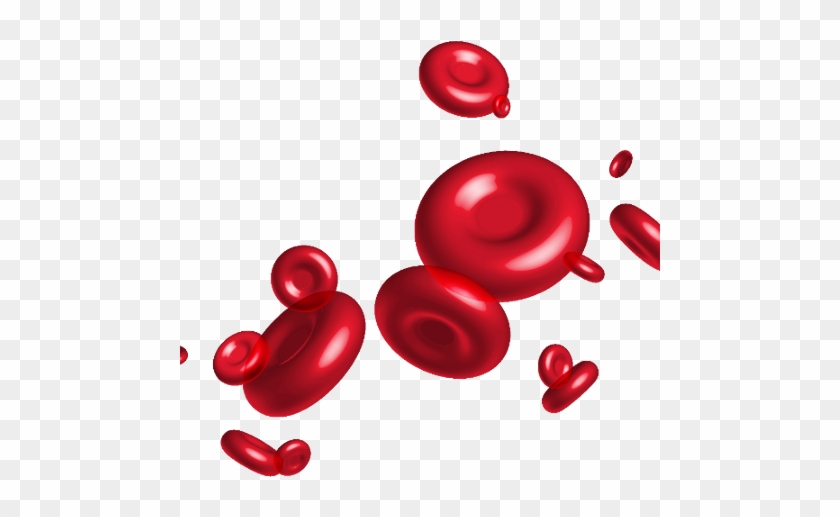 Red Blood Cell Vector #1349773