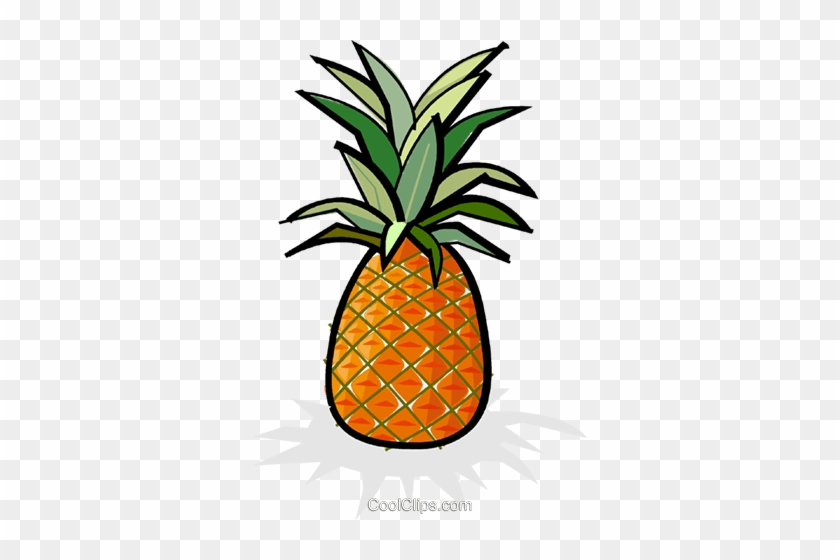 Pineapple Royalty Free Vector Clip Art Illustration - Pineapple Clipart #1349993