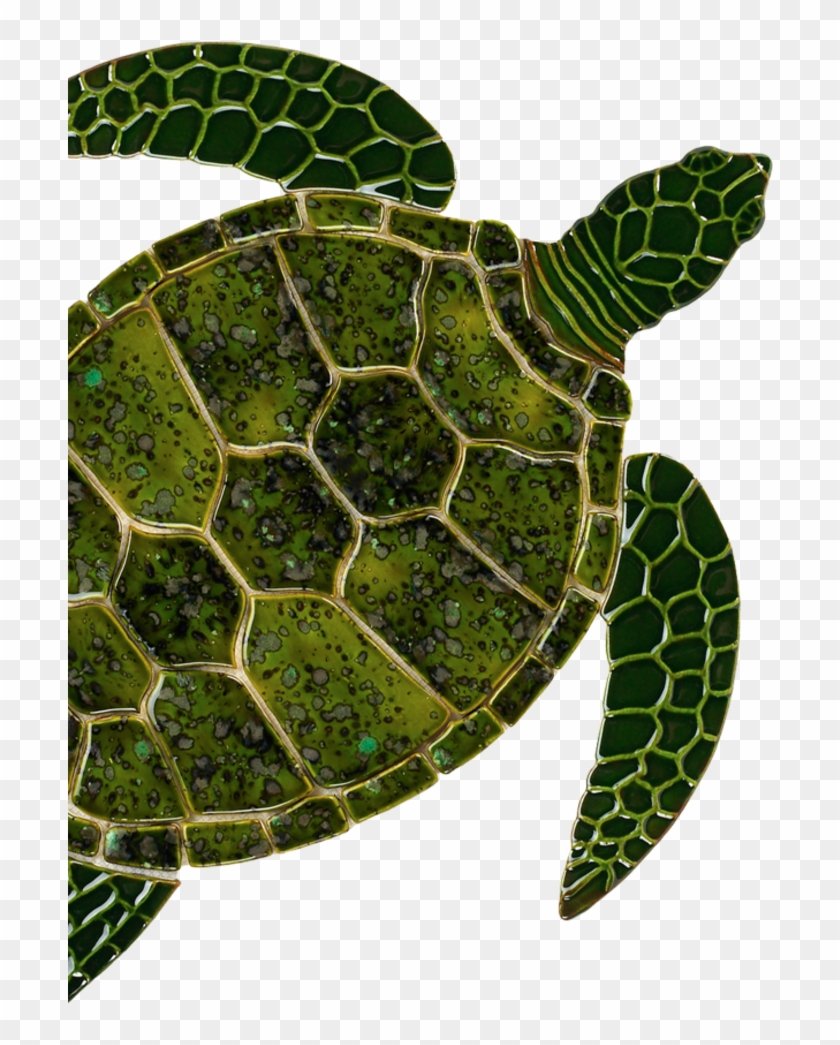 Sea Turtle Art Clipart Sea Turtle Tortoise - Sea Turtle Ceramic #1350056