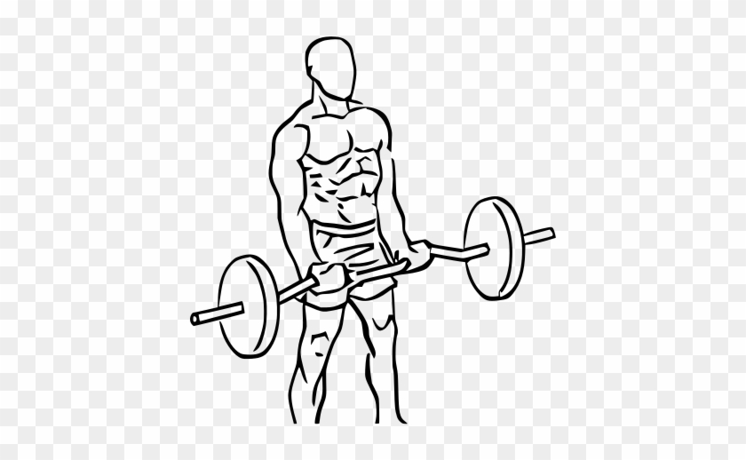 Deadlift Drawing Anime Clip Free - Biceps Curl #1350347