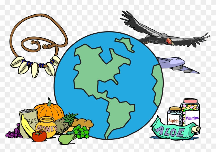 Ology, Science For Kids - Biodiversity Clipart #1350424