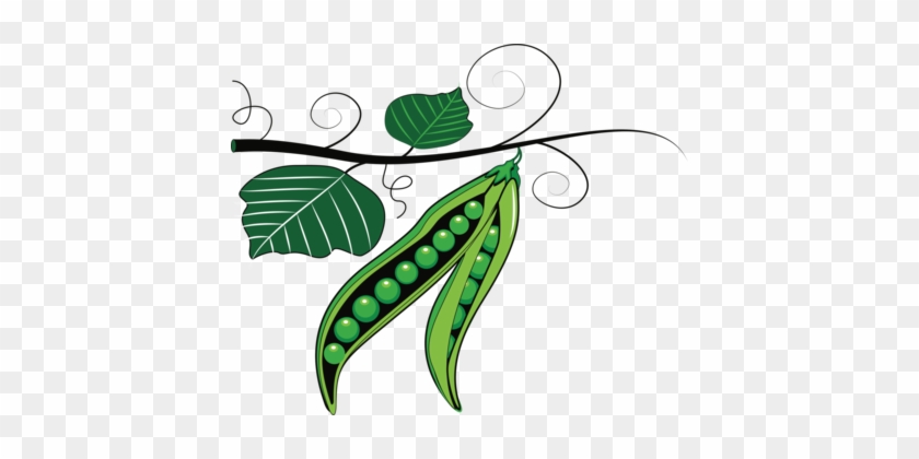 Pea Bean Fruit Vegetable Computer Icons - Mung Beans Plant Png #1350433