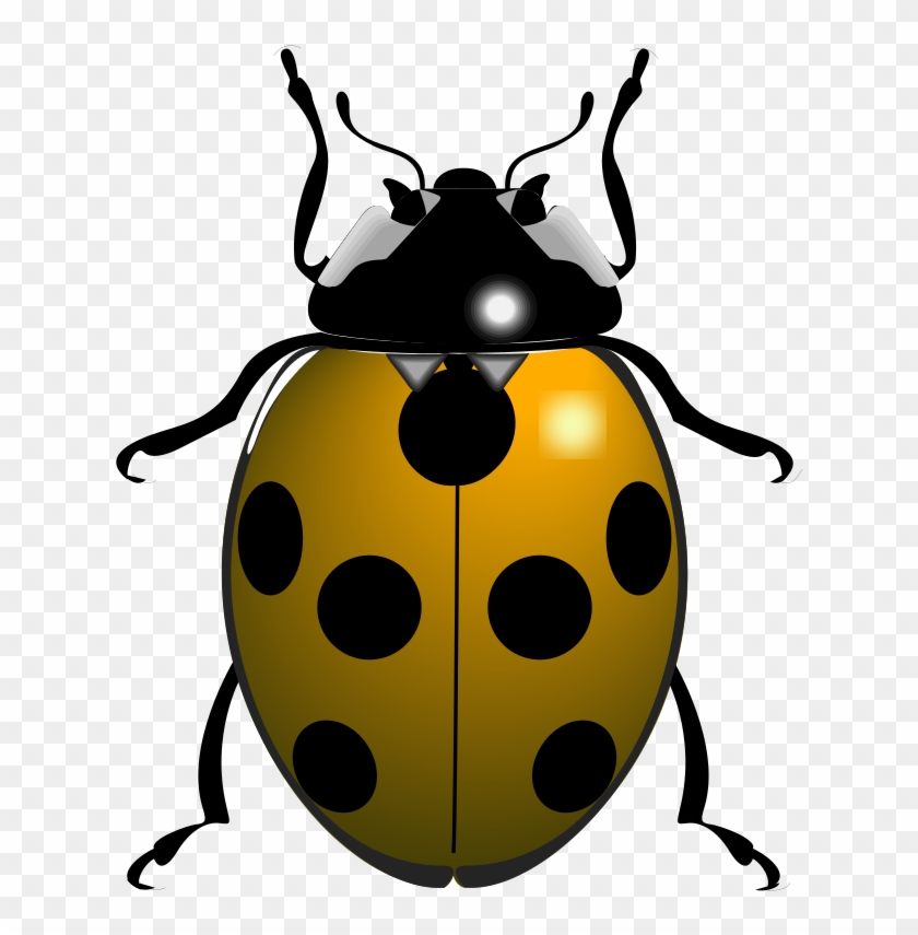 Download Yellow Ladybug Png Clipart Ladybird Beetle - Big Lady Bug #1350785