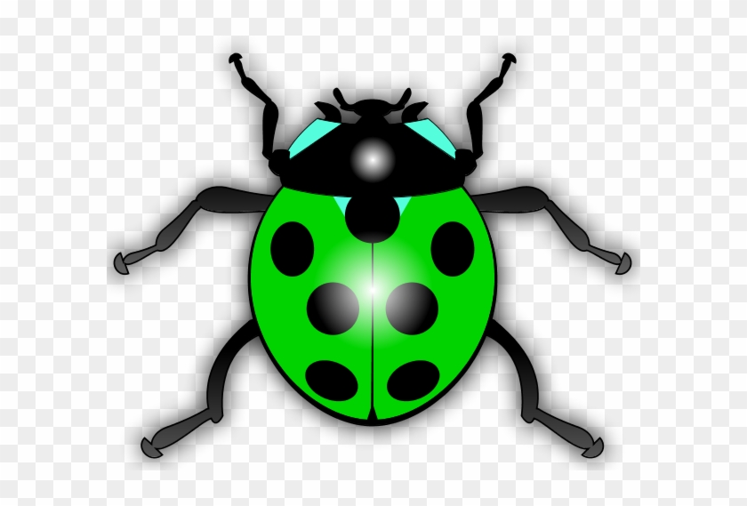 Ladybird Clipart Ladybird Beetle Clip Art - Ladybug A Transparent Background #1350796