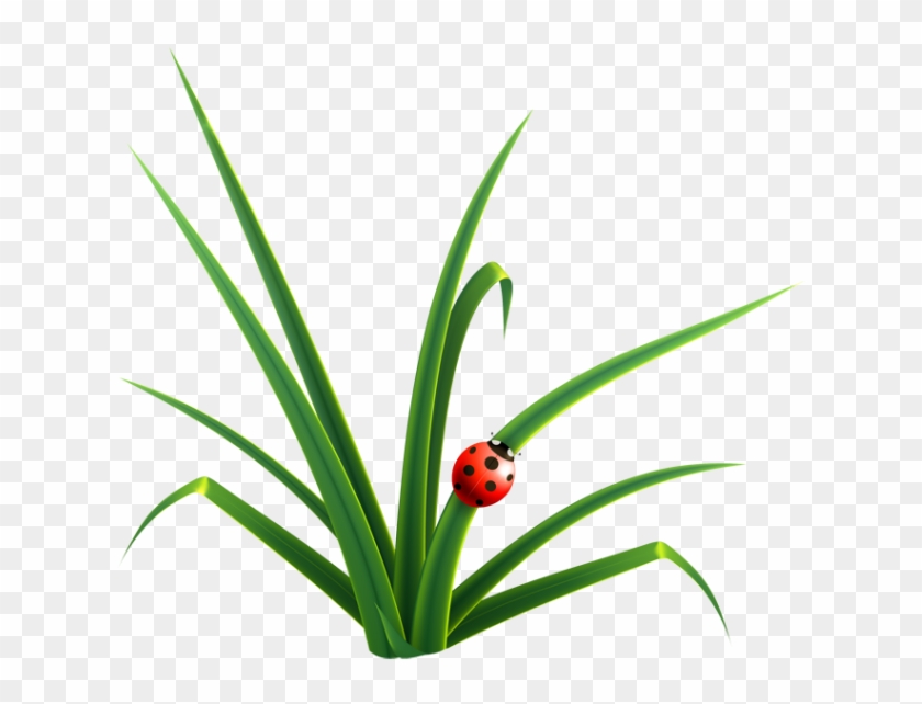 Blade Clipart Grass - Blade Of Grass Clip Art #1350816