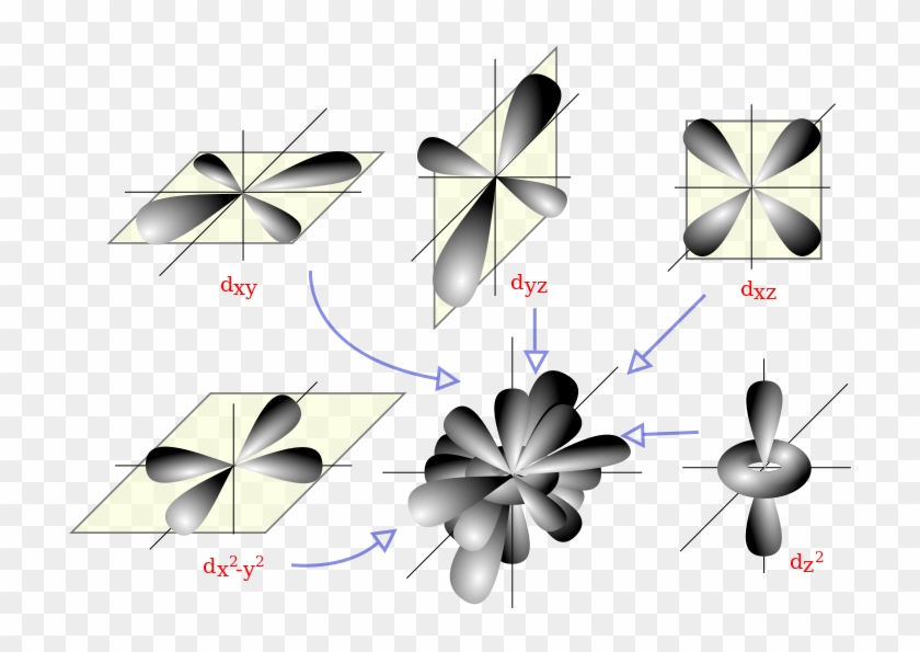 Some Orbitals - D Orbitals #1350913