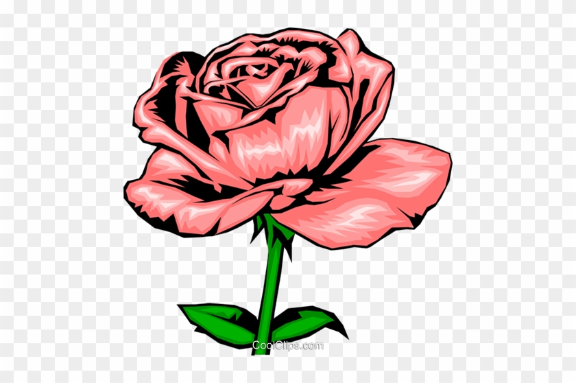 Pink Rose Royalty Free Vector Clip Art Illustration - Light Pink Roses Drawing #1351008