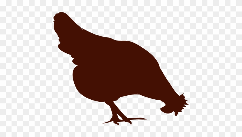 Hen Vector Silhouette - Chicken Silhouette No Background #1351054