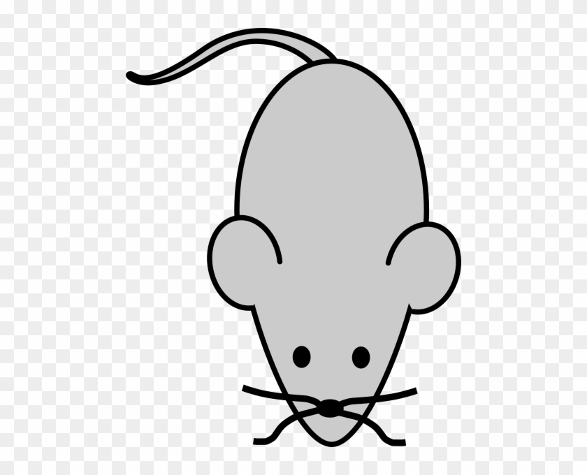 Easy Drawings Of A Mouse #1351388