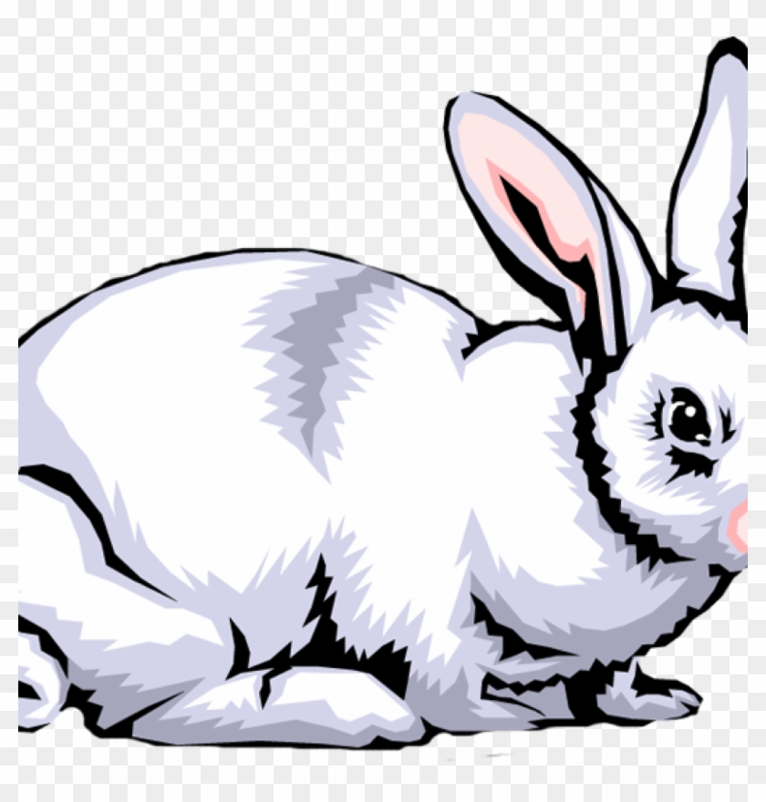 Rabbit Clipart Free Rabbit Clip Art Images Clipart - White Rabbit #1351929