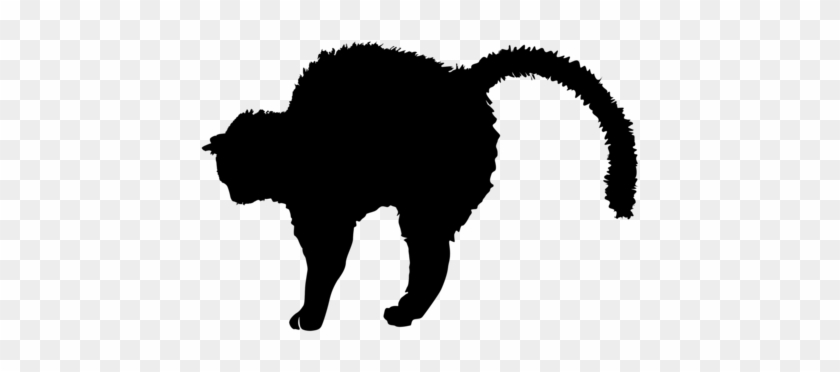 Black Cat Whiskers Wildcat Kitten - Gatos Silueta Blanco Y Negro #1352141