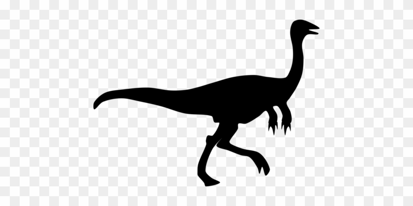 Velociraptor Dinosaur Silhouette Gallimimus Drawing - Clipart Dinosaur Silhouette Png #1352150