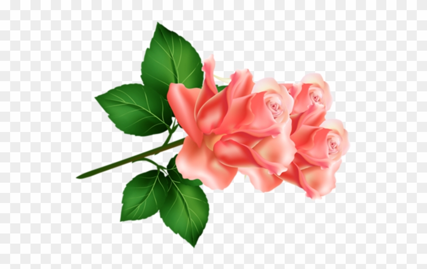 Clip Art - Imagenes De Colibries Con Rosas #1352300