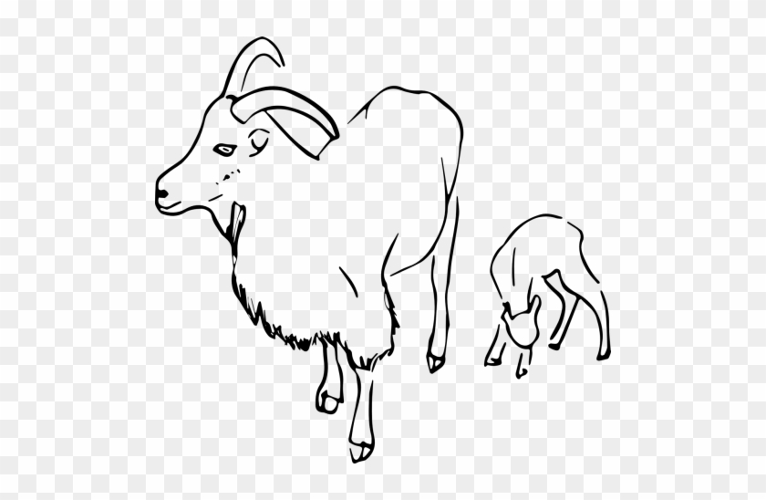 Goat,vector,image,free Vector Graphics - Lukisan Gambar Kambing #1352346
