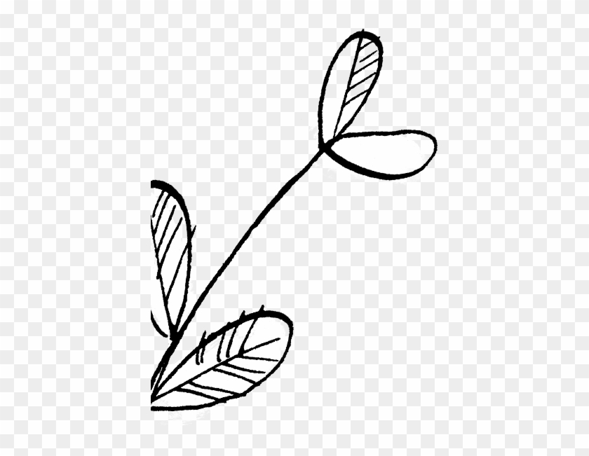 Booking For A Group Or After Something Specific - Booking For A Group Or After Something Specific #1352457