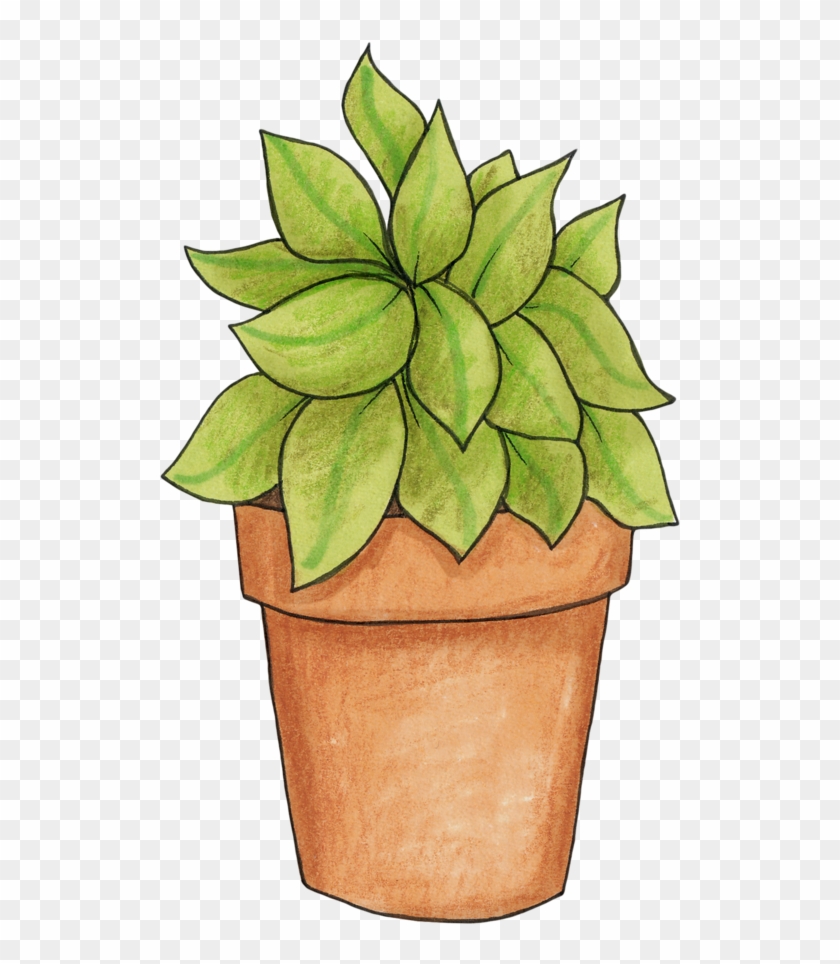 Potted Plant - Pot Plant Clip Art #1352699