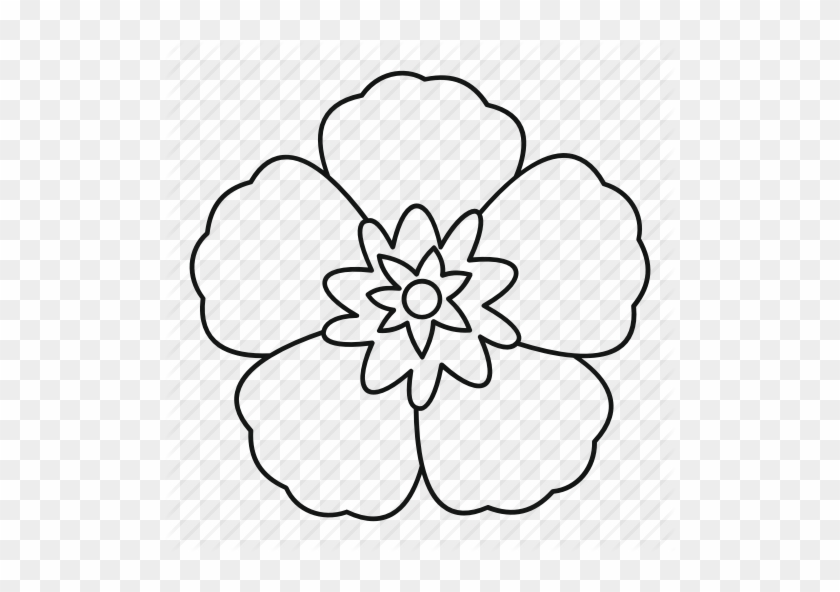 Rose Of Sharon Outline Clipart Common Hibiscus Clip South Korean