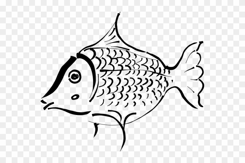 Fish Outline Clip Art Is Free - Outline Of A Fish #1352871