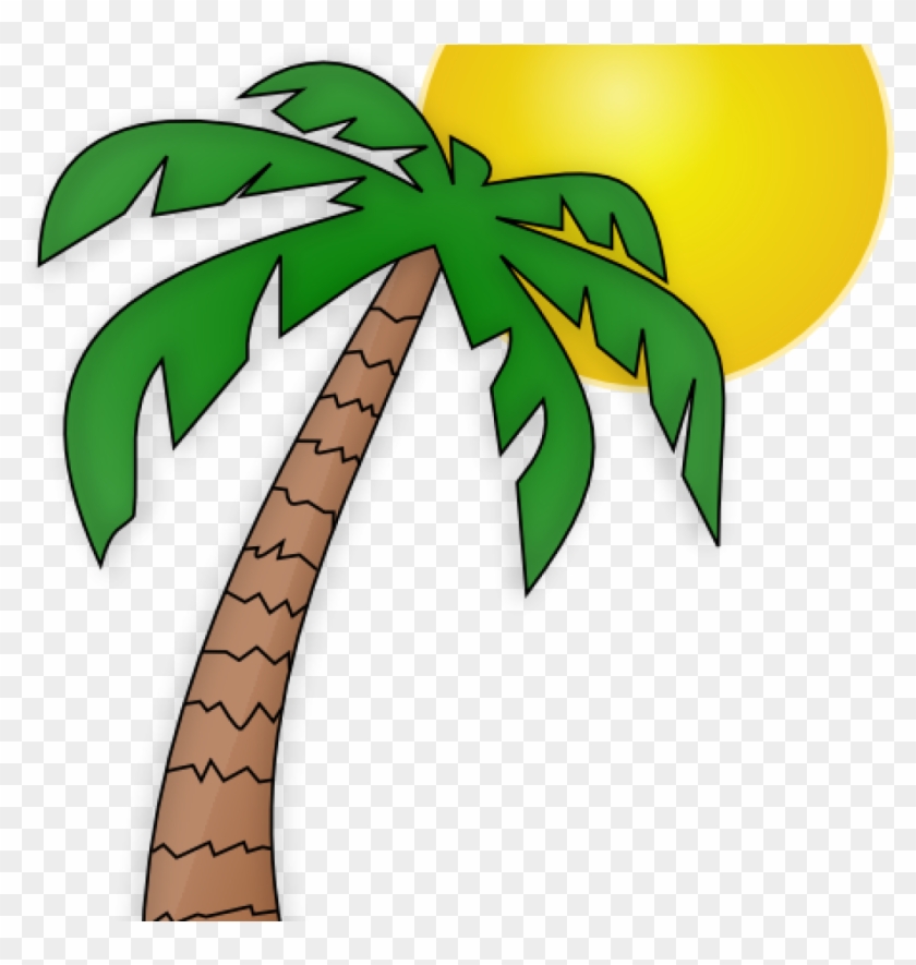 Palm Tree Clip Art Free Palm Tree Clip Art Transparent - Cartoon Palm Tree With A Coconut #1353002