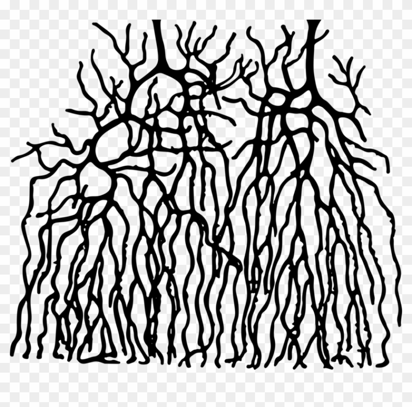 Twig Root Visual Arts Plant Stem Ostergewitter - Comparison Between An Artificial Neural Network And #1353155