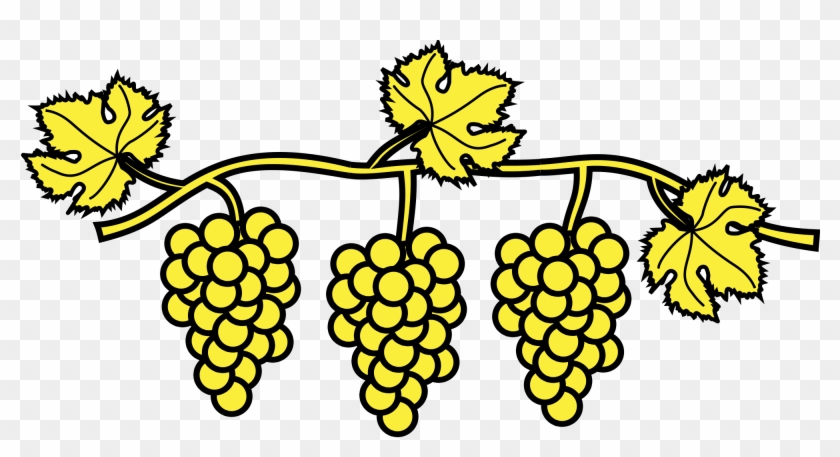 Vines Svg Grape - Dessin Branche De Vigne #1353161
