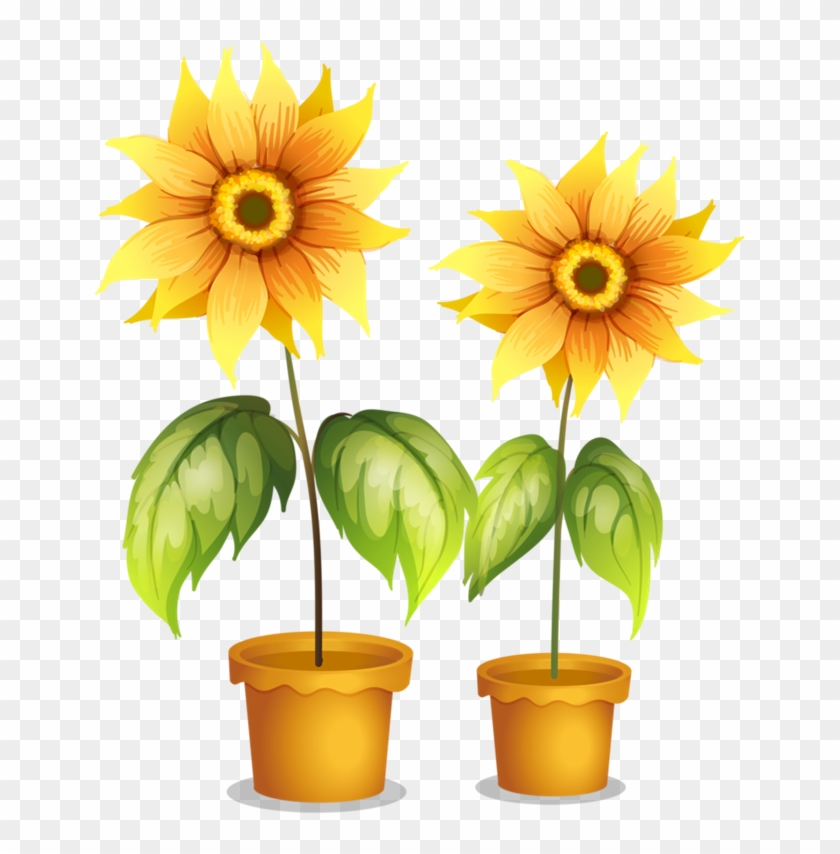 7 I Think Of You, Classroom Decor, Sunflower Clipart, - Illustration #1353177