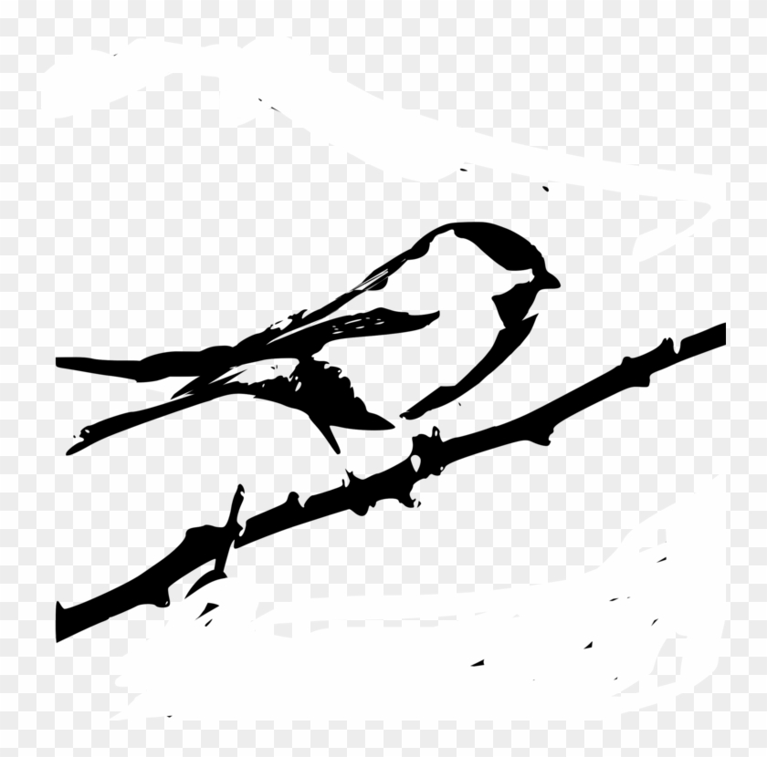 All Photo Png Clipart - Custom Chickadee Sketch Shower Curtain #1353318