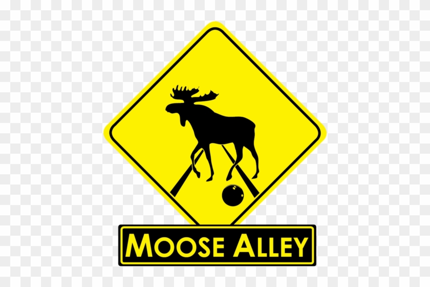 Bowling Moose #1353333
