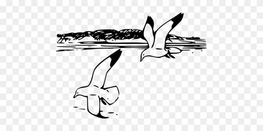 Gulls Shore Beach Black And White Line Art - Shore Clip Art Black And White #1353354