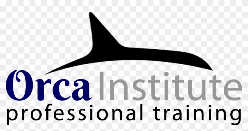 Orca Institute - Duke Clinical Research Institute Logo #1353485