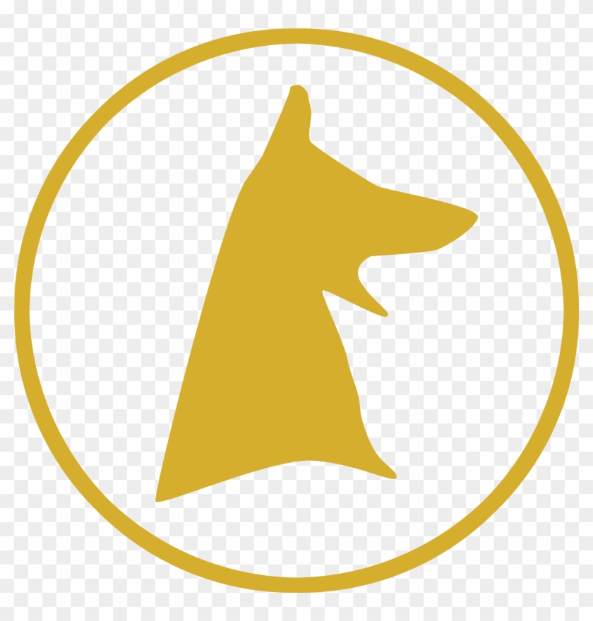 District Attendance Policies - Dingo #1353837