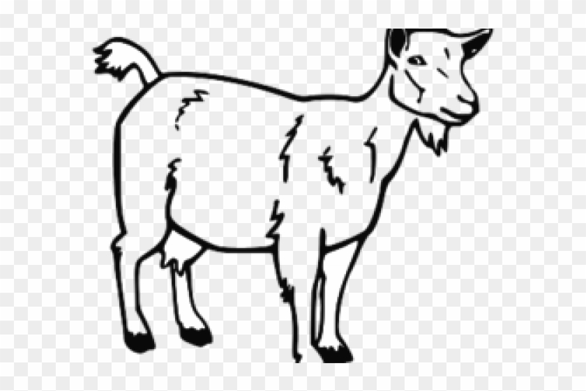 Mountain Goat Clipart Nubian Goat - Goat Black And White Drawing #1354008