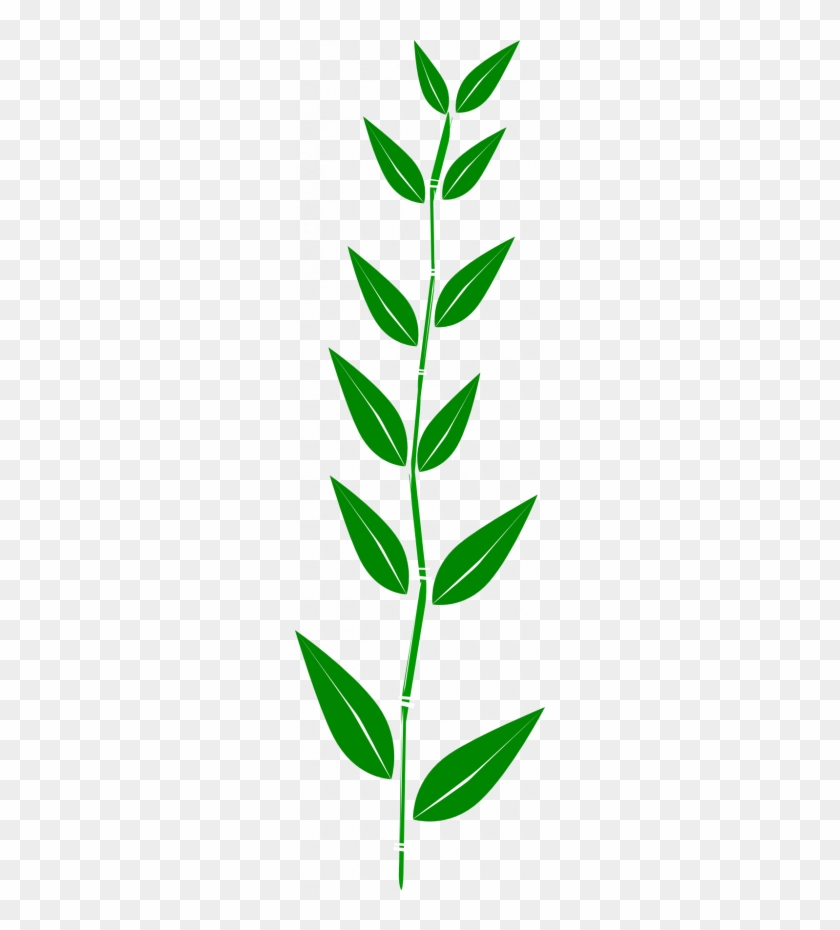 Green Leaf Border - Green Leaf Clipart #1354025