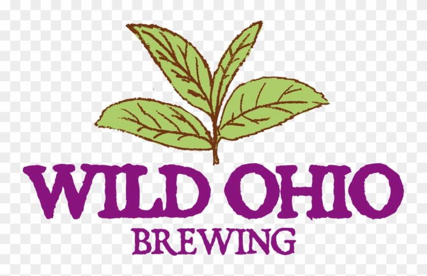Wild Ohio Brewing - 鋼 の 錬金術 師 エド #1354279