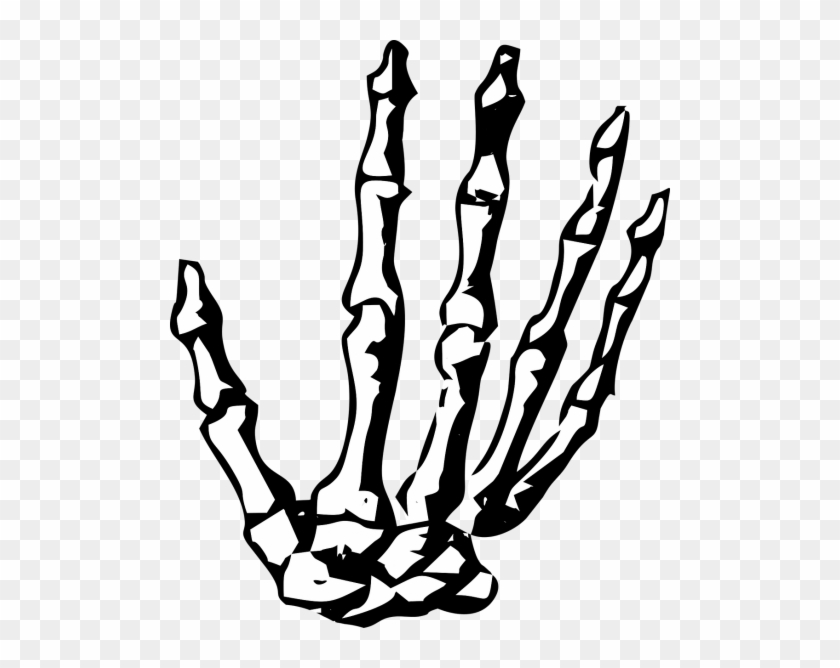 Hand,skeleton,skeleton - Manos De Esqueleto Png #1354616