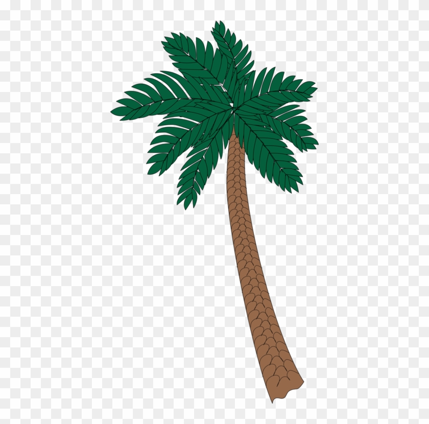 All Photo Png Clipart - Palm Trees #1354743