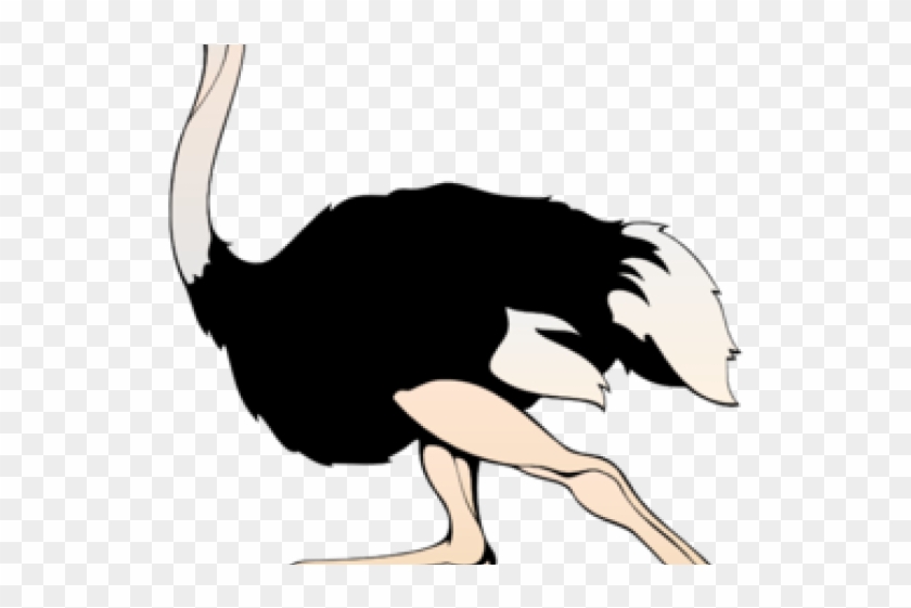 Animl Clipart Run - Ostrich Clipart Png #1354786