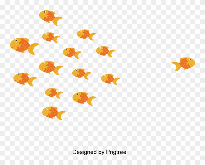 Gold Fish, Fish Clipart, Pet, Shoal Of Fish Png And - Fish #1354923