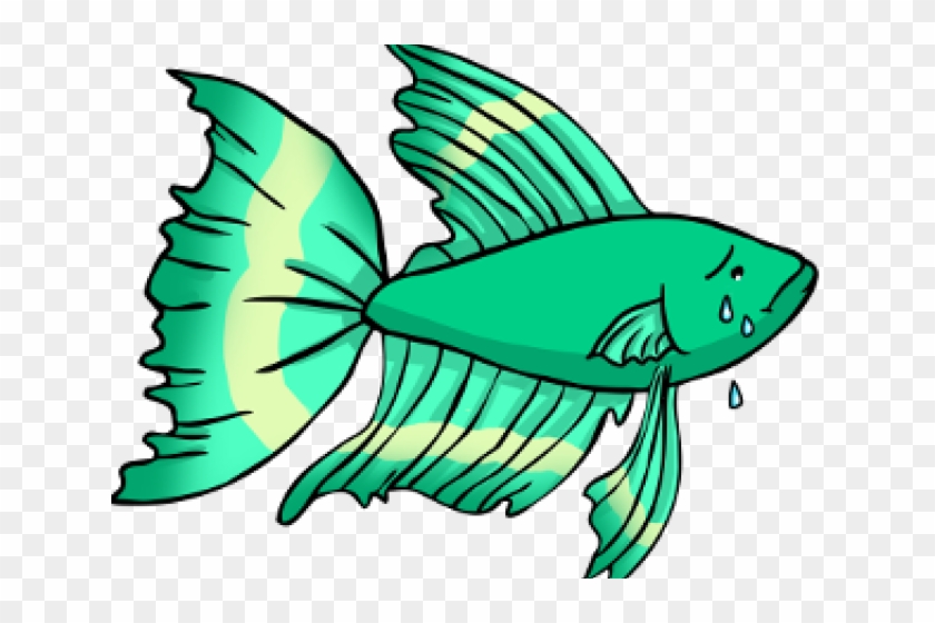 Tropical Fish Clipart Betta Fish - Tropical Fish Clipart Betta Fish #1354929