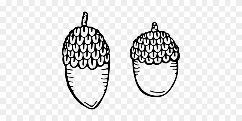 Drawing Line Art Black And White Acorn Coloring Book - Acorns Drawing #1355009